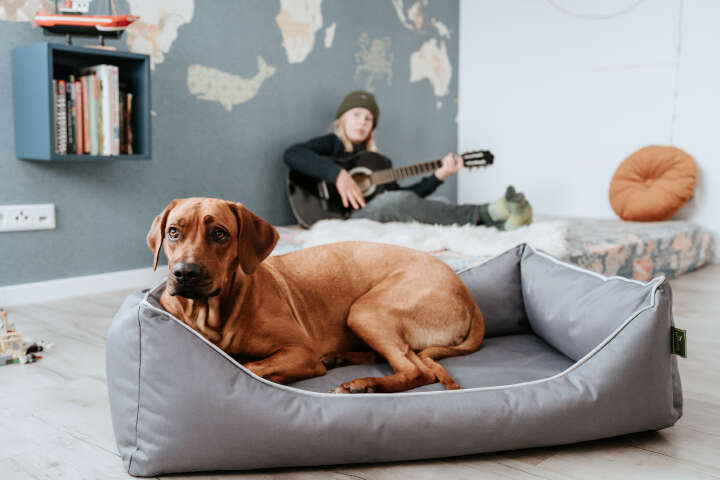 HUNTER Orthopädisches Hunde-Sofa Cleveland